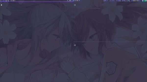 Desktop with several terminals open