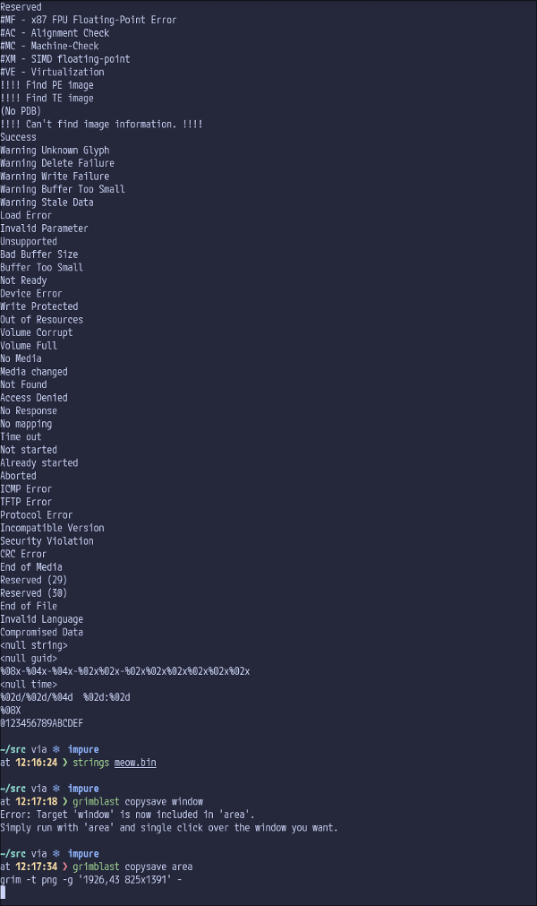 Strings from the BIOS dump